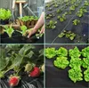 Jiubiaz 40m² Non-tissé anti-mauvaises herbes Non-tissé de Voir les images du produit 5
