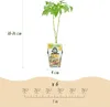 GreenboutiQ - Obstpflanzen - Himbeere - Rubus idaeus Produktbild-Vorschau 3