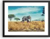 Gerahmtes Poster - Schwarzer Rahmen - Surreal Elefant Produktbild-Vorschau 1