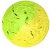Spro Trout Master Pro Paste 60g Cheese Fluo Yellow/Green Voir les images du produit 2