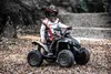 Can-am Renegade Elektroquad für Kinder, khaki, Einsitzer, Produktbild-Vorschau 3