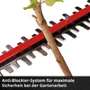 Einhell accu-heggenscharen GP-CH 18/50 Li BL-Solo Productafbeelding-voorbeeld 11