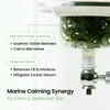 Biodance Refreshing Sea Kelp Real Deep Mask 4St. Voir les images du produit 17