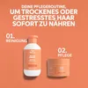 Wella Professionals Invigo Nutri-Enrich Set - Shampoo 300 Produktbild-Vorschau 9