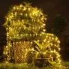 A plant decorated with string lights at night. Produktbild-Vorschau