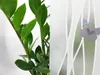 Selbsthaftend Fensterfolie 67x150 cm - Sawa - Produktbild-Vorschau 10