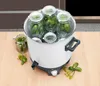 Clatronic EKA 3338 Einkochautomat mit Zapfhahn, 25 Liter, Produktbild-Vorschau 5