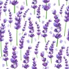 Coloray Fototapete 104x70 cm Vlies-Fototapete - Provence Produktbild-Vorschau 2