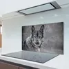 Coloray Hackbrett Herdabdeckplatte 80x52 cm Küchenbrett Produktbild-Vorschau 3