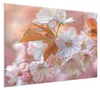 Magnettafel 120x90cm Pinnwand Whiteboard beschreibbar - Produktbild-Vorschau 2
