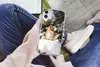 MuchoWow® Handyhülle Schutzhülle Hülle für iPhone 11 Fuchs Produktbild-Vorschau 3