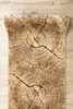 Tapis de couloir KARMEL Tronko Arbre Bois noix  100 cm Voir les images du produit 5