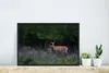 MuchoWow® MuchoWow® Gerahmtes Poster Hirsche - Blumen - Produktbild-Vorschau 6