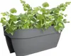 elho® Vibia campana Geländerkasten Flower Bridge Anthrazit Produktbild-Vorschau 4