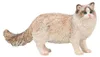 Collecta 80059 Ragdoll 7,5 cm Psy i koty Podgląd zdjęcia produktu 1