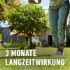 Compo Rasendünger gegen Unkraut + Moos 6 kg Nachfolger Produktbild-Vorschau 11