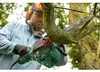 Kettensäge UniversalChain 35 Produktbild-Vorschau 16