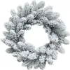 A frosted Christmas wreath on a white background. Anteprima dell’immagine prodotto