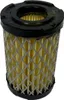 Filtro aria per Tecumseh OVRM 40 60 105 TC 200 300 Prisma Anteprima dell’immagine prodotto 1