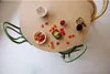 LEGO BOTANICALS 10348 Japanese Red Maple Bonsai Tree Anteprima dell’immagine prodotto 31