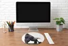 MuchoWow® Mauspad Mousepad Gorilla - Tiere - Jungen - Produktbild-Vorschau 4