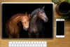 MuchoWow® Laptop Aufkleber Sticker Cover Pferde - Tiere - Produktbild-Vorschau 2