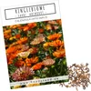 Ringelblumen Samen (Calendula Officinalis) - Vielseitige Produktbild-Vorschau 1