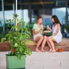 Gusta Garden TOM TOMATO 3er-Set dunkelgrün Produktbild-Vorschau 13