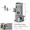 Arbre à chat PawHut de 99 cm avec niches et balle à jouer, Voir les images du produit 7