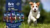 Brit Premium By Nature Sensitive Lamb 3kg Podgląd zdjęcia produktu 6