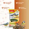 A bag of bird food with two birds on it, and two birds in front of the bag, with a pile of bird seed in front of the bag. Produktbild-Vorschau