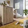 A hallway with a shoe cabinet, stairs, and plants. Náhled obrázku produktu