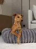 TrendPet Biscuit Cube Hundebett grau (75x60x18cm) Produktbild-Vorschau 8