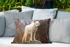 MuchoWow® Outdoor Kissen - Wolf - Stein - Weiß - 60x40 cm - Produktbild-Vorschau 4