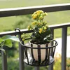 A potted plant with yellow flowers hangs from a balcony railing. Produktbild-Vorschau