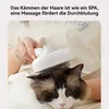 Hundebürsten, Haustier Bürsten, mit Spielzeugball, 3 in 1, Produktbild-Vorschau 7