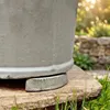 Teramico 20 x Füße für Pflanzgefäße Grau-Weiß Keramik 9cm Produktbild-Vorschau 3