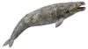 Collecta Szary Wieloryb - Collecta - Wysokiej jakości Podgląd zdjęcia produktu 1