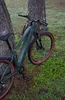 An e-bike is leaning against a tree in a grassy, wooded area. Produktbild-Vorschau
