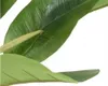Bananenpflanze im Topf künstliche Zierpflanze 60x120 cm Produktbild-Vorschau 2
