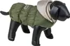 Manto impermeabile per cani Nobby, colore verde oliva, Anteprima dell’immagine prodotto 1