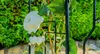 KADAX mříž "Atri", oblouk z růží, 250 cm, pergola černá Náhled obrázku produktu 12