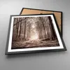 Gerahmtes Poster - Schwarzer Rahmen - Wald Straße Baum - Produktbild-Vorschau 3