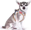 CURLI Postroj pro psy Alpine Light Gray XL, 12-18 kg Náhled obrázku produktu 7