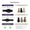 WHISKERZ® CORE Veilige Elastische Kattenhalsband met Houder Productafbeelding-voorbeeld 6