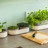 Plastia Urbalive Set Keimsprosskit Microgreens und Produktbild-Vorschau 27