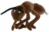 Living Puppets Handpuppe Anton die Ameise Produktbild-Vorschau 5