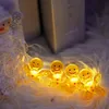 Apt Vánoční Osvětlení Dort 2M 20Led Náhled obrázku produktu 4