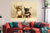 MuchoWow® Poster Zwei kleine Chihuahua-Welpen 160x120 cm - Produktbild-Vorschau 2