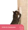 A cat scratching a sisal post against a white background. Produktbild-Vorschau
